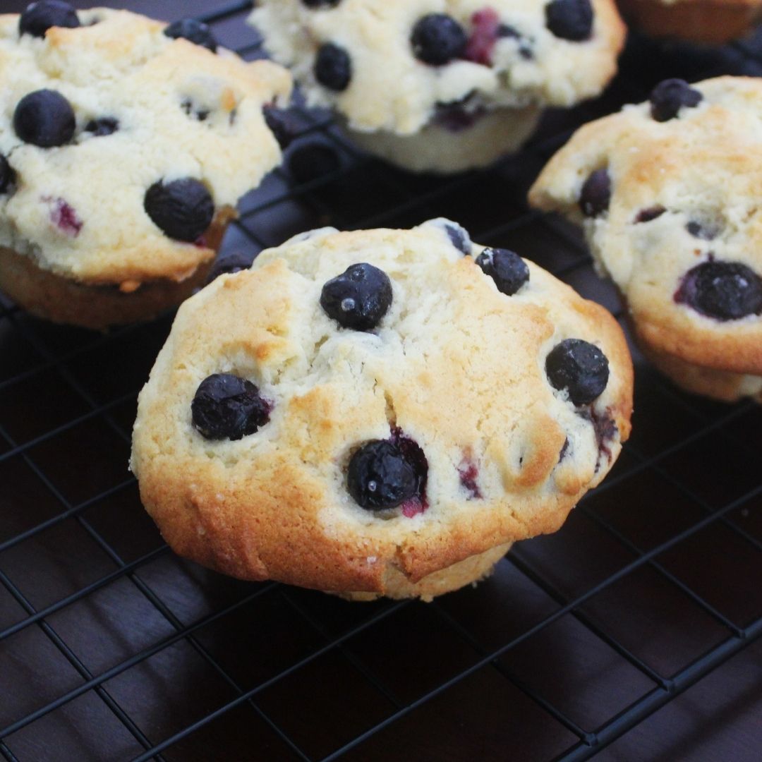 Blueberry muffins